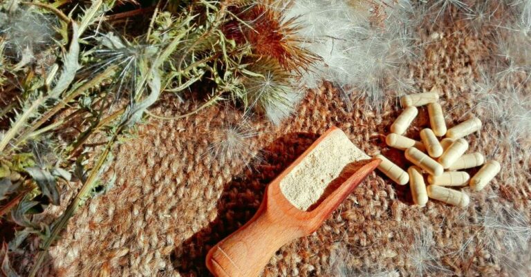 capsules and dried herbs on a wooden surface, resembling 'What Medications Should Not Be Taken With Milk Thistle'.